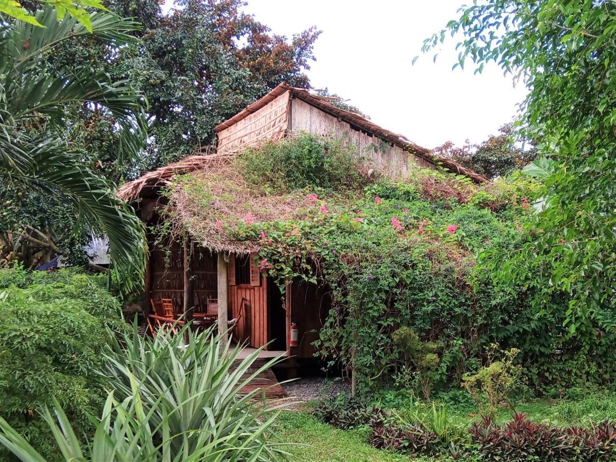 Mekong Delta Ricefield Lodge 껀터 외부 사진